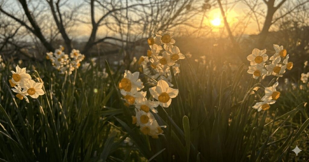 春季彼岸会正善寺